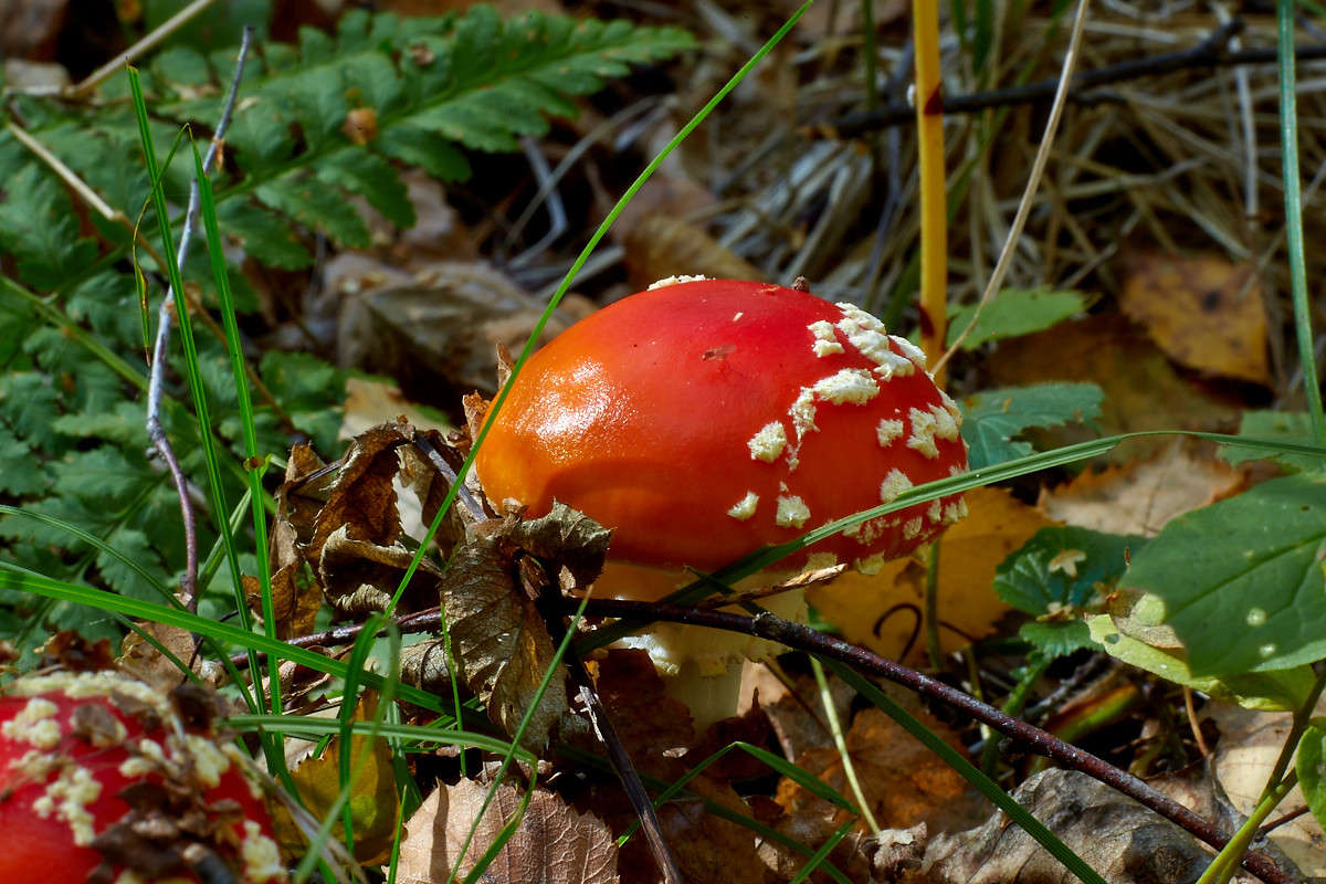 ... ����� Viktor Nogovitsin �� PhotoGeek.ru #����� #������ ��� �������