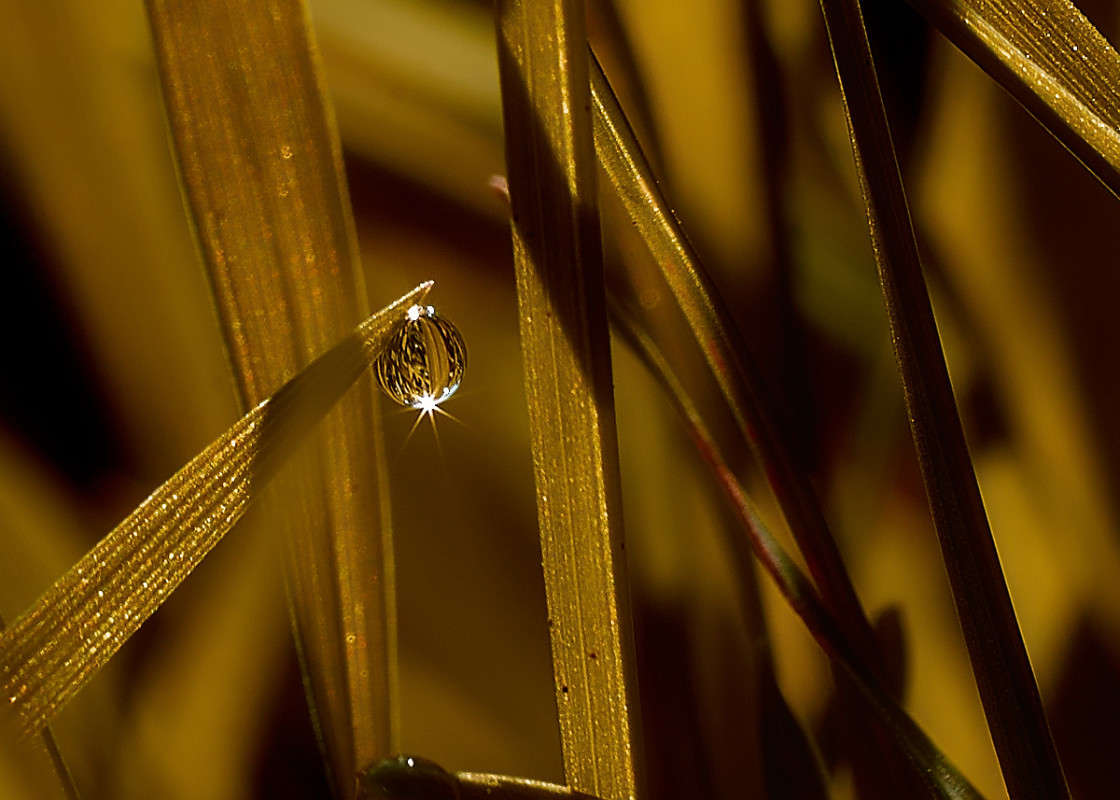 ... ����� Viktor Nogovitsin �� PhotoGeek.ru #�����