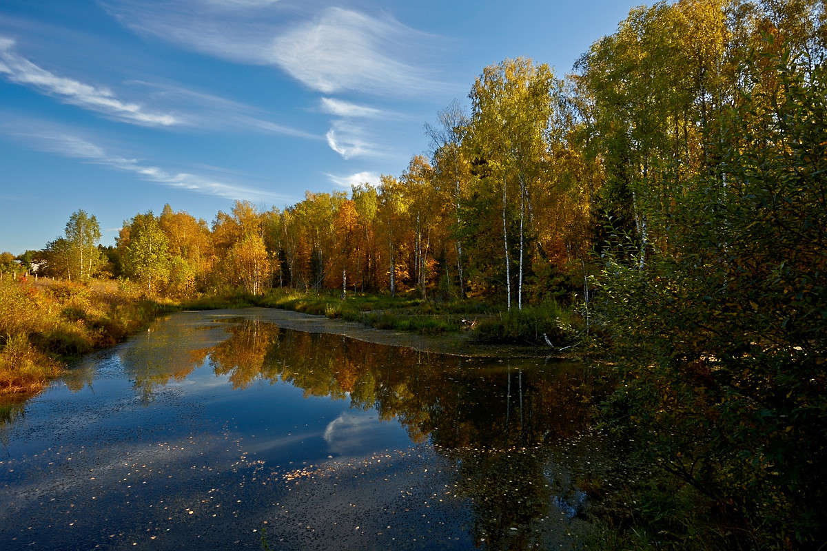 ... ����� Viktor Nogovitsin �� PhotoGeek.ru #������ ��� �������