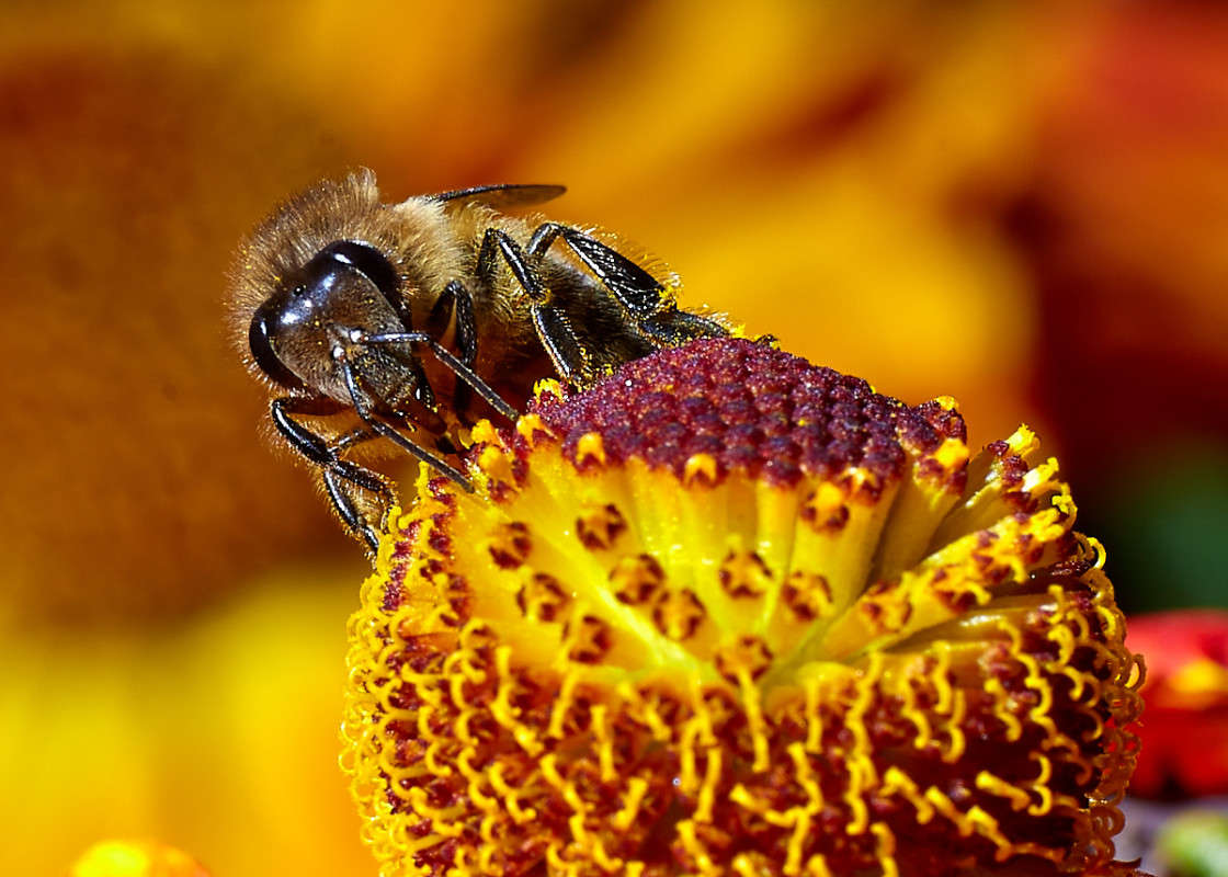 ... ����� Viktor Nogovitsin �� PhotoGeek.ru #�����