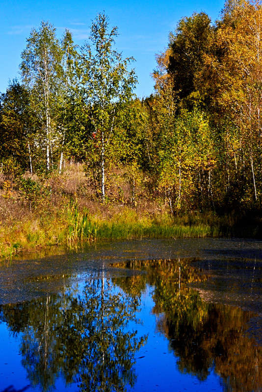 ... ����� Viktor Nogovitsin �� PhotoGeek.ru #������ ��� �������