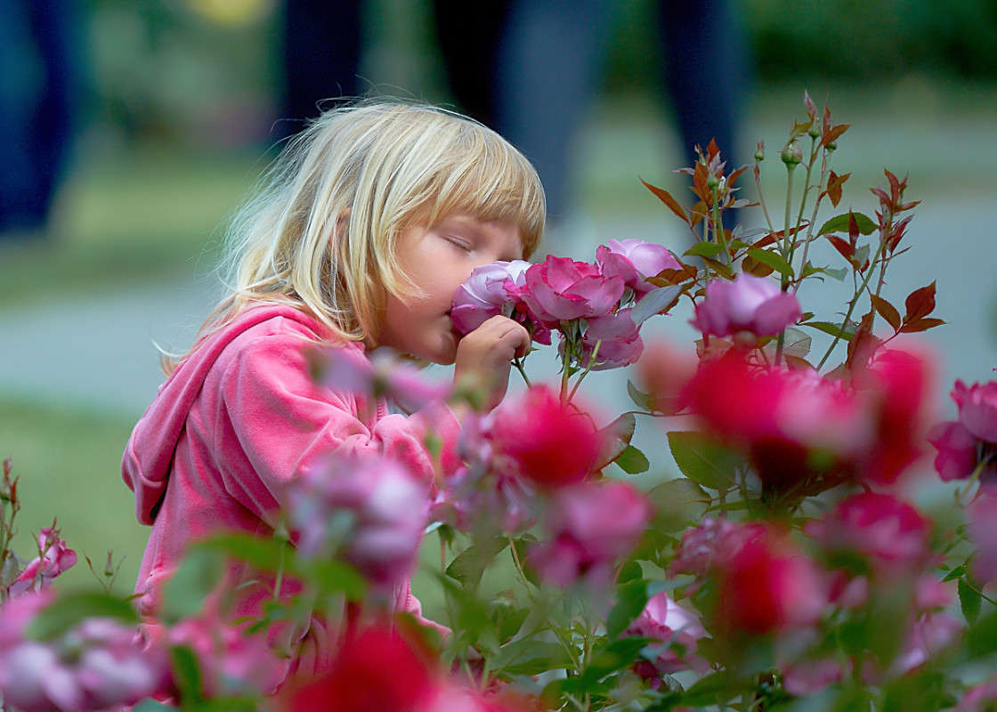 ... ����� Viktor Nogovitsin �� PhotoGeek.ru #������� #��������