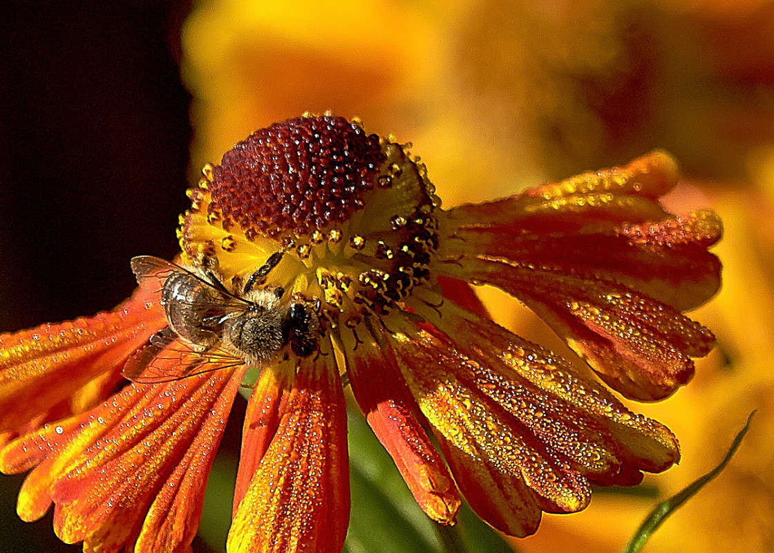 ... ����� Viktor Nogovitsin �� PhotoGeek.ru #�����