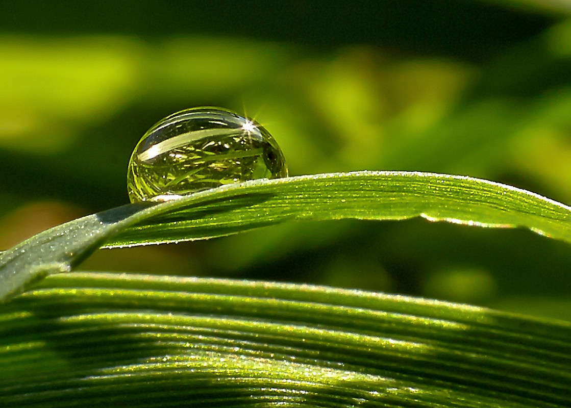 ... ����� Viktor Nogovitsin �� PhotoGeek.ru #�����