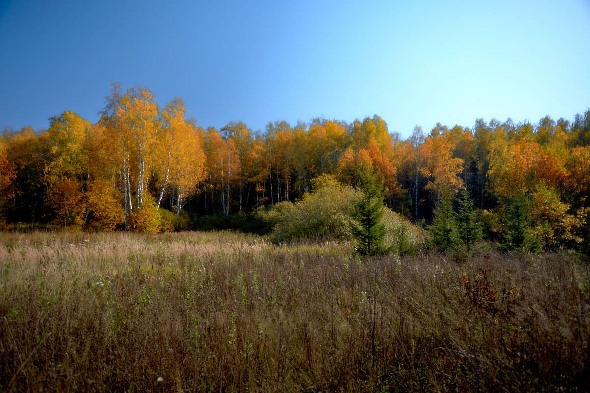... ����� Viktor Nogovitsin �� PhotoGeek.ru #������ ��� �������