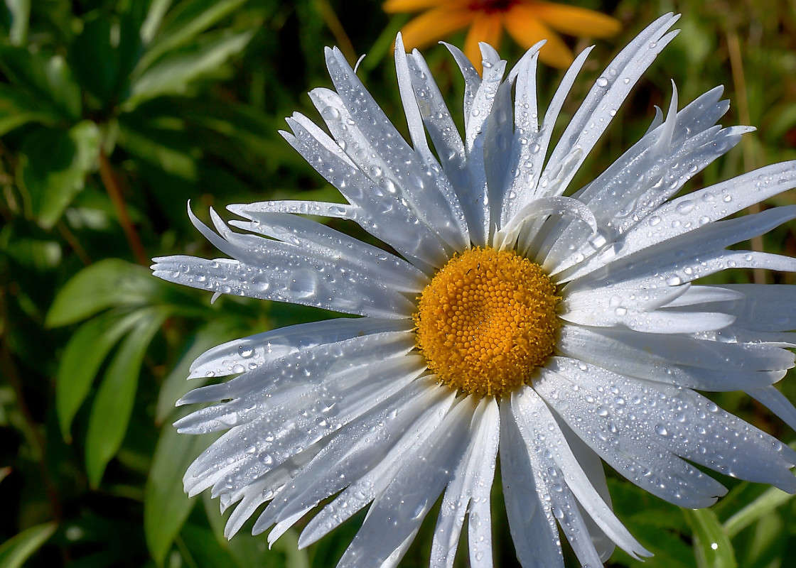 ... ����� Viktor Nogovitsin �� PhotoGeek.ru #����� #������ ��� �������