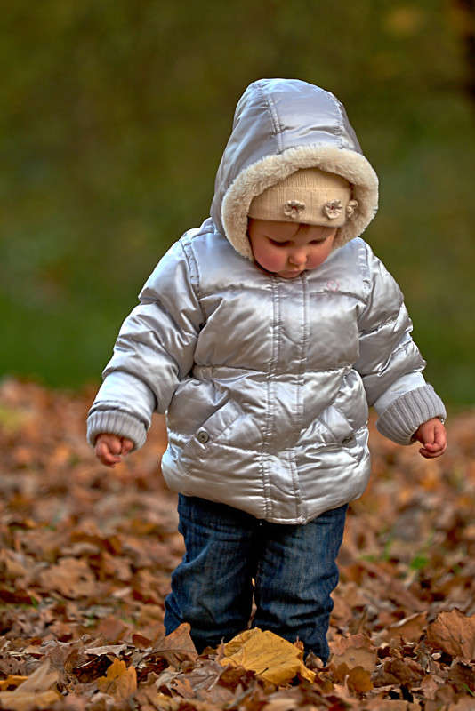 ... ����� Viktor Nogovitsin �� PhotoGeek.ru #��������