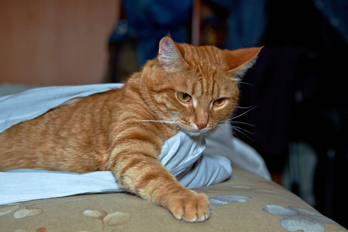 ... ����� Viktor Nogovitsin �� PhotoGeek.ru #�������� ���