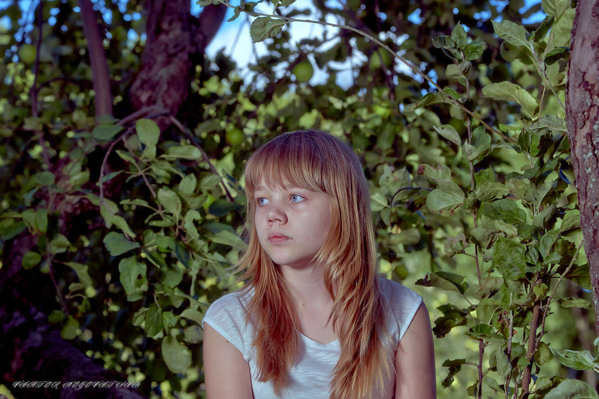 ... ����� Viktor Nogovitsin �� PhotoGeek.ru #�������