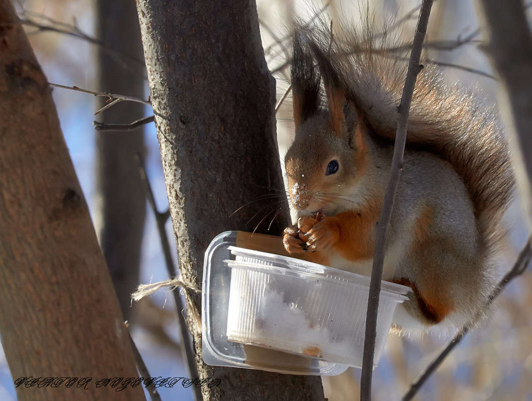 ... ����� Viktor Nogovitsin �� PhotoGeek.ru #�������� ���