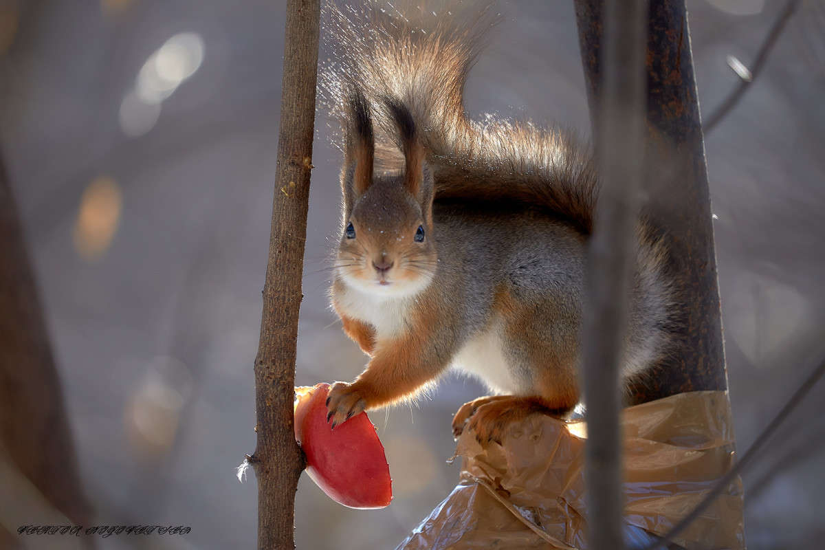 ... ����� Viktor Nogovitsin �� PhotoGeek.ru #�������� ��� #����� ��� ��� ���������