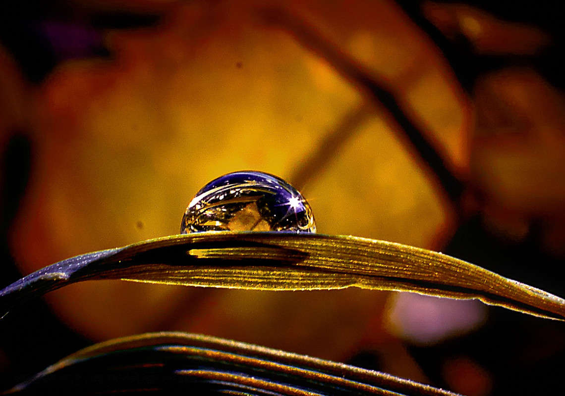 ... ����� Viktor Nogovitsin �� PhotoGeek.ru #�����