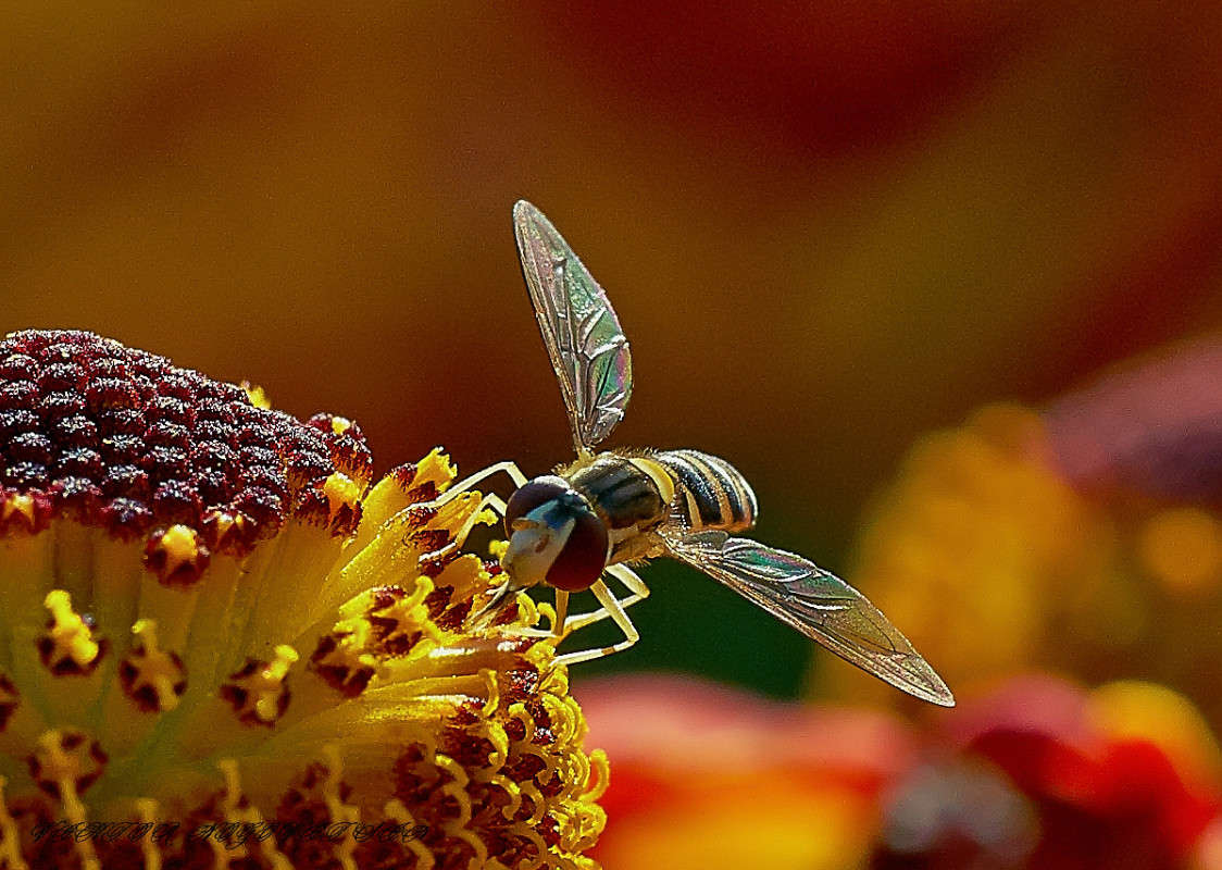 ... ����� Viktor Nogovitsin �� PhotoGeek.ru #����� #�������� ��� #������ ��� �������