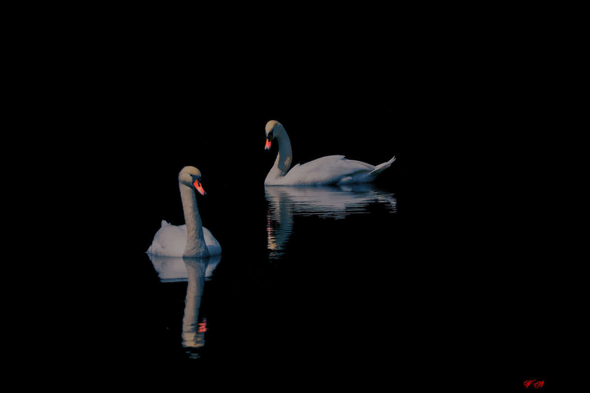 ... ����� Viktor Nogovitsin �� PhotoGeek.ru #�������� ��� #������ ��� �������