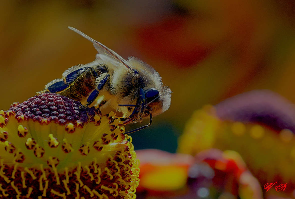 ... ����� Viktor Nogovitsin �� PhotoGeek.ru #�����