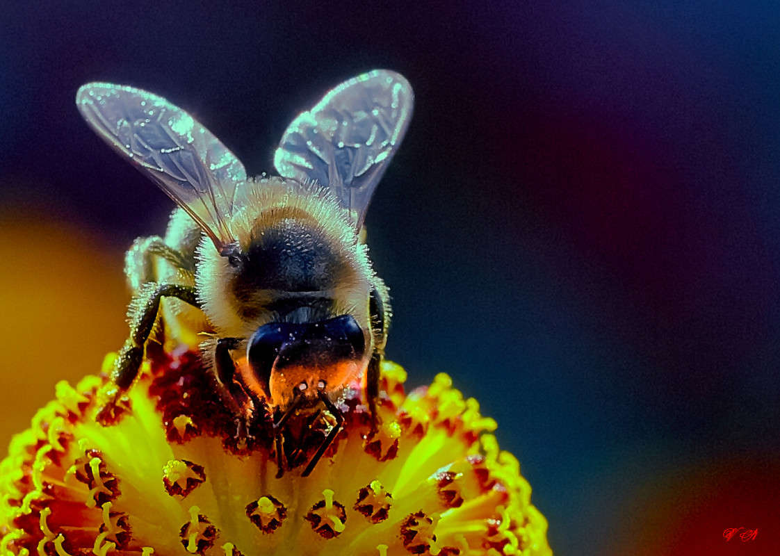 ... ����� Viktor Nogovitsin �� PhotoGeek.ru #�����