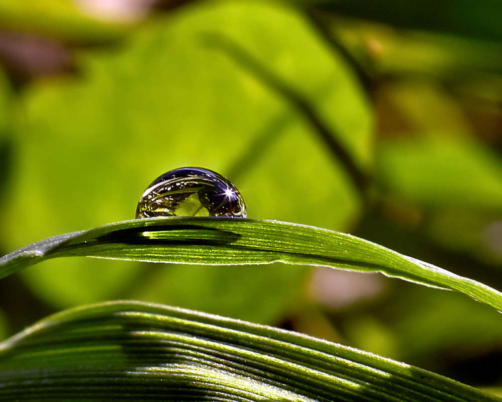 ... ����� Viktor Nogovitsin �� PhotoGeek.ru #�����