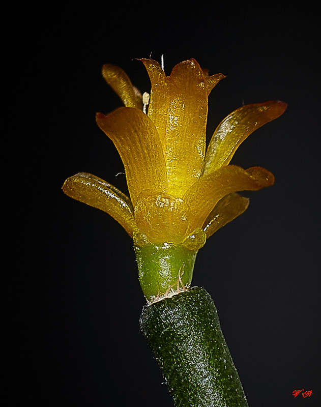 ... ����� Viktor Nogovitsin �� PhotoGeek.ru #�����