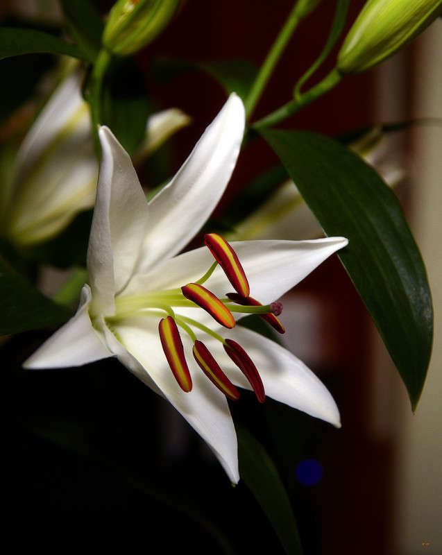 ... ����� Viktor Nogovitsin �� PhotoGeek.ru #�����