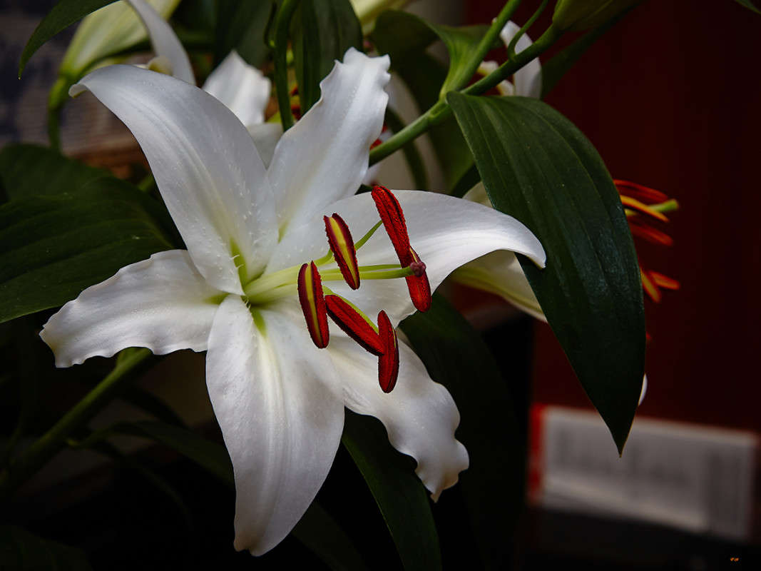 ... ����� Viktor Nogovitsin �� PhotoGeek.ru #�����