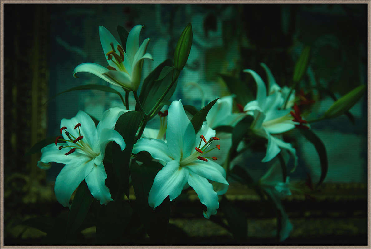 ... ����� Viktor Nogovitsin �� PhotoGeek.ru #���������