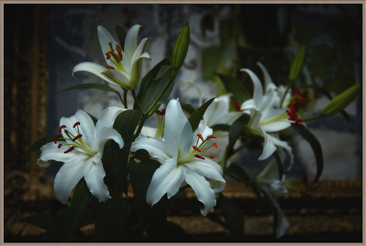 ... ����� Viktor Nogovitsin �� PhotoGeek.ru #���������