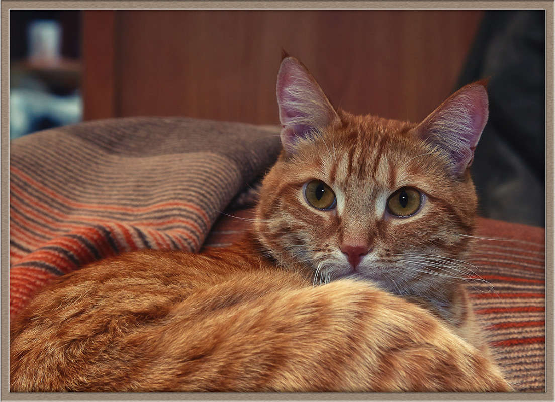 ... ����� Viktor Nogovitsin �� PhotoGeek.ru #�������� ���