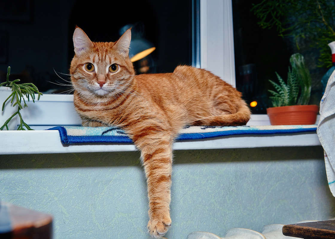 ... ����� Viktor Nogovitsin �� PhotoGeek.ru #�������� ��� #�������