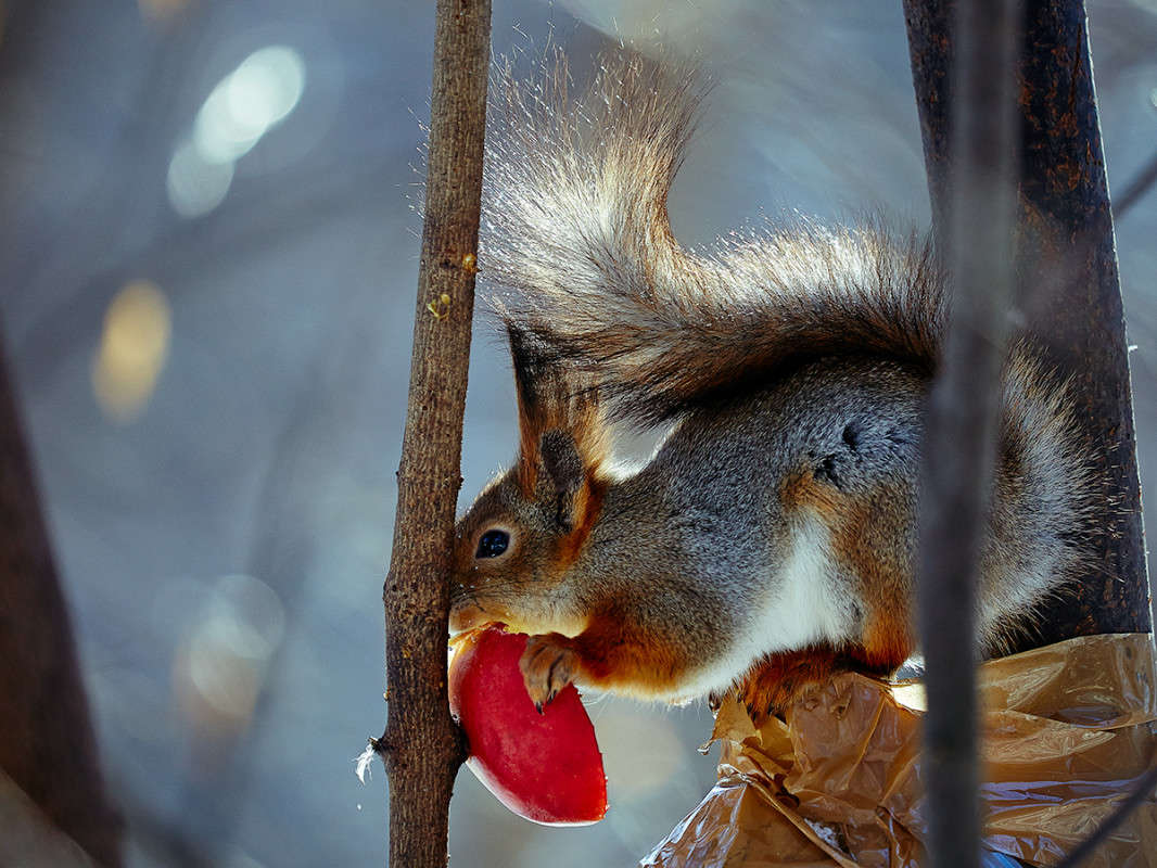 ... ����� Viktor Nogovitsin �� PhotoGeek.ru #�������� ���