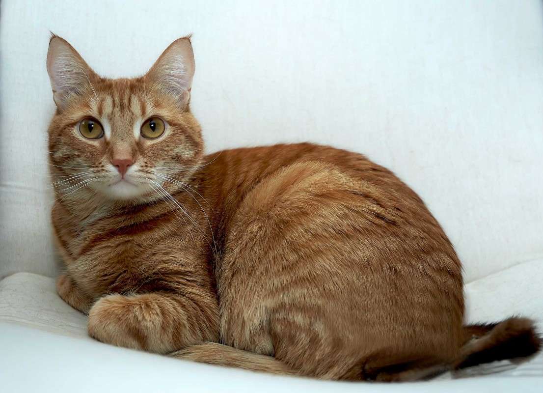 ... ����� Viktor Nogovitsin �� PhotoGeek.ru #�������� ���