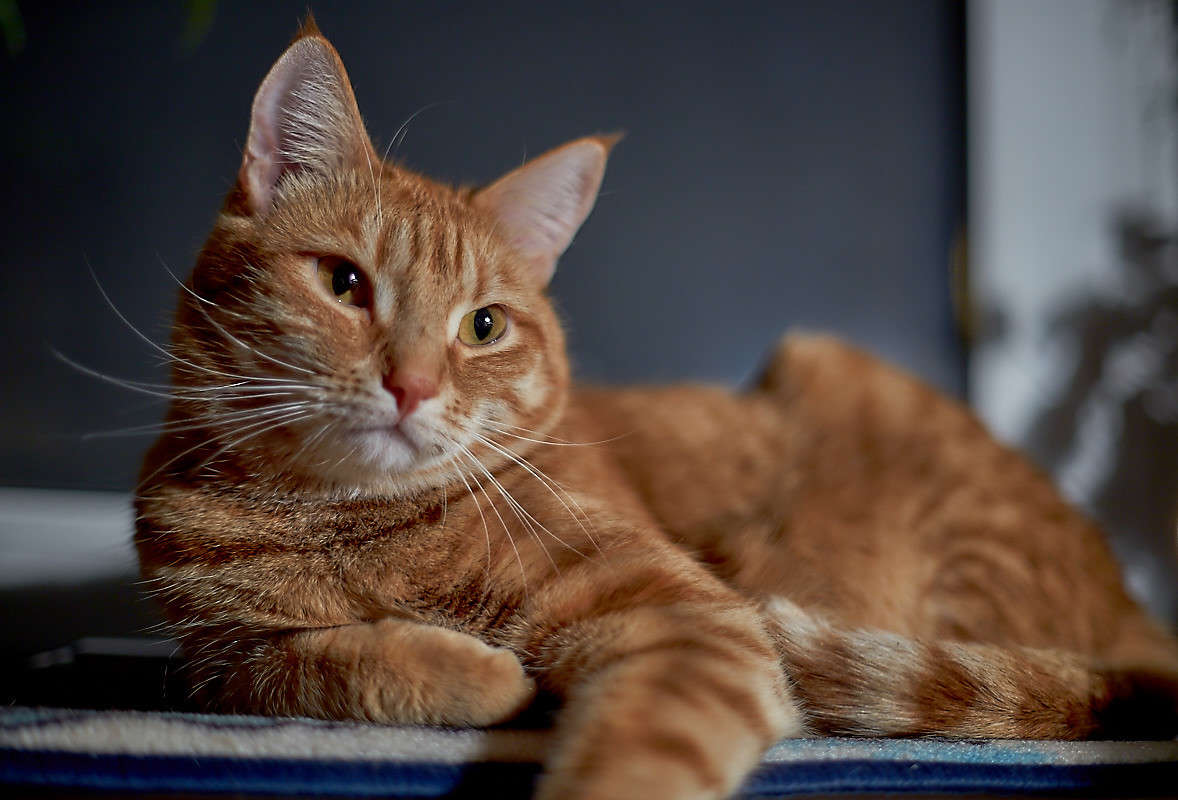 ... ����� Viktor Nogovitsin �� PhotoGeek.ru #�������� ���