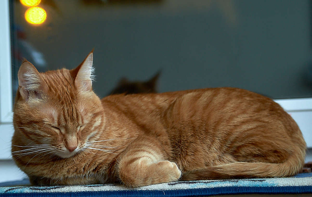 ... ����� Viktor Nogovitsin �� PhotoGeek.ru #�������� ���