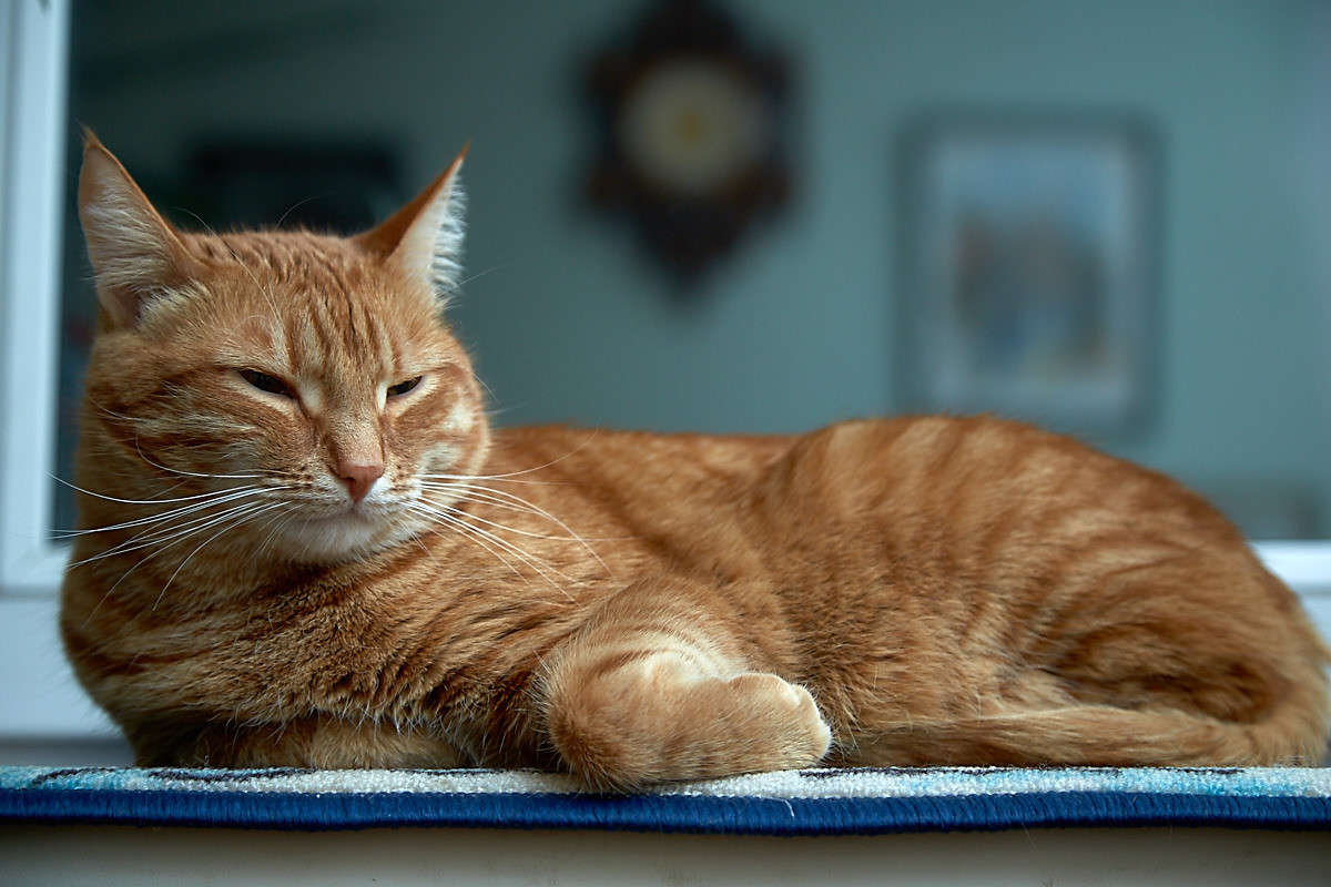 ... ����� Viktor Nogovitsin �� PhotoGeek.ru #�������� ���