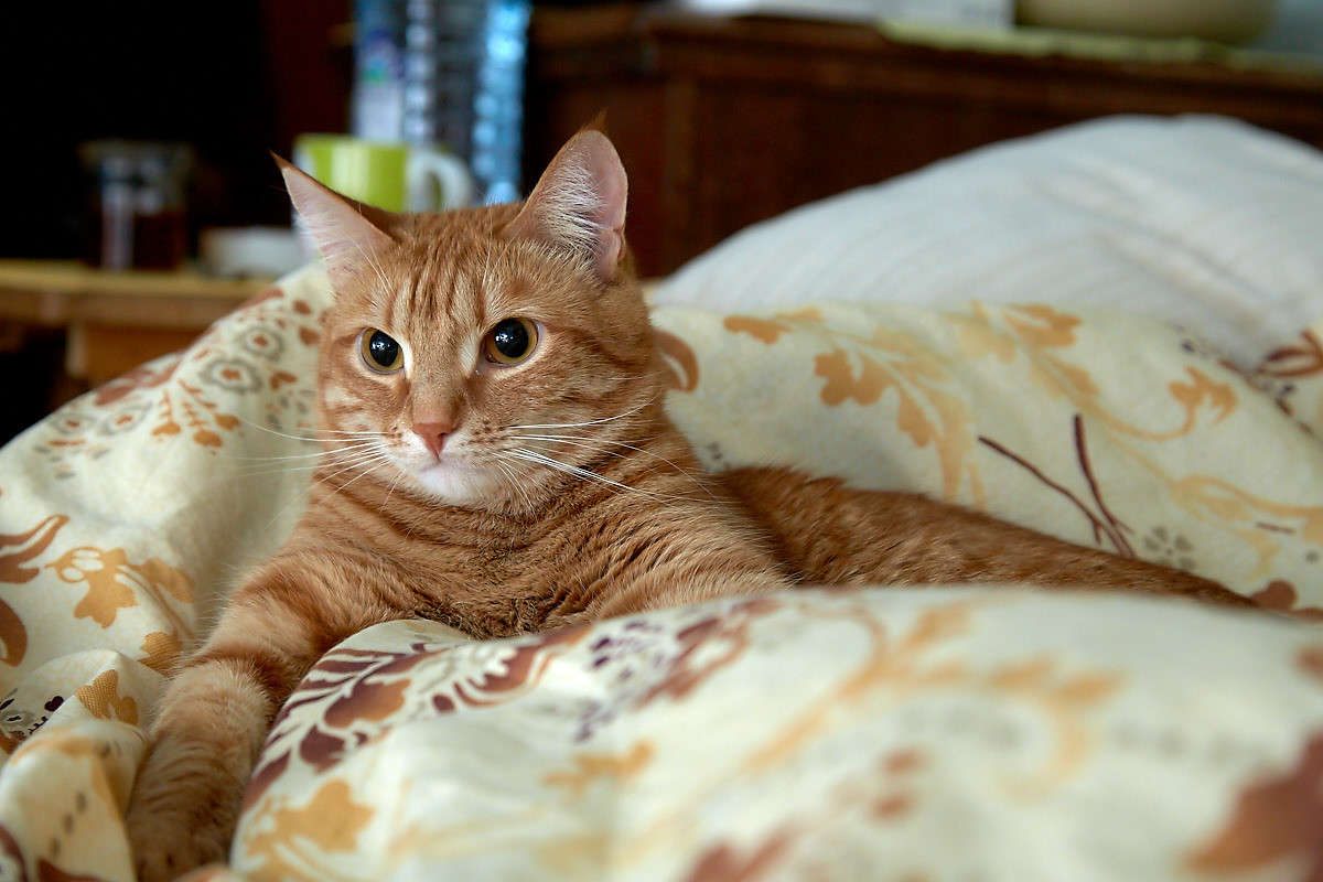 ... ����� Viktor Nogovitsin �� PhotoGeek.ru #�������� ���