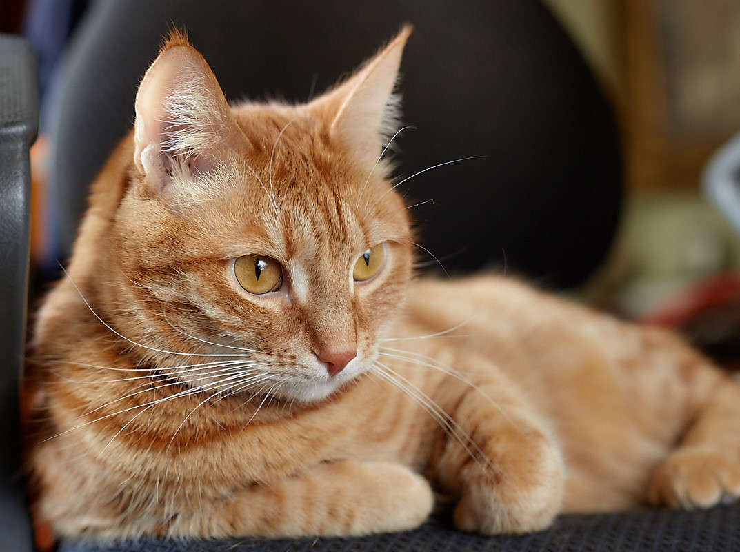 ... ����� Viktor Nogovitsin �� PhotoGeek.ru #�������� ���