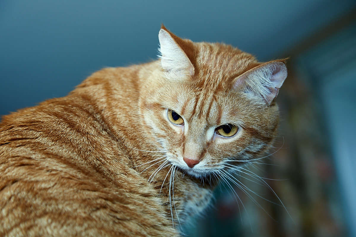 ... ����� Viktor Nogovitsin �� PhotoGeek.ru #�������� ���