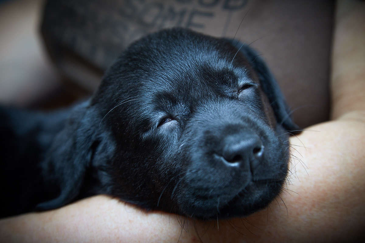 ... ����� Viktor Nogovitsin �� PhotoGeek.ru #�������� ���