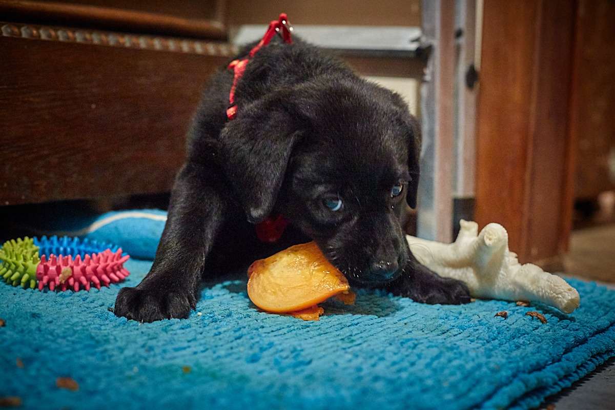 ... ����� Viktor Nogovitsin �� PhotoGeek.ru #�������� ���