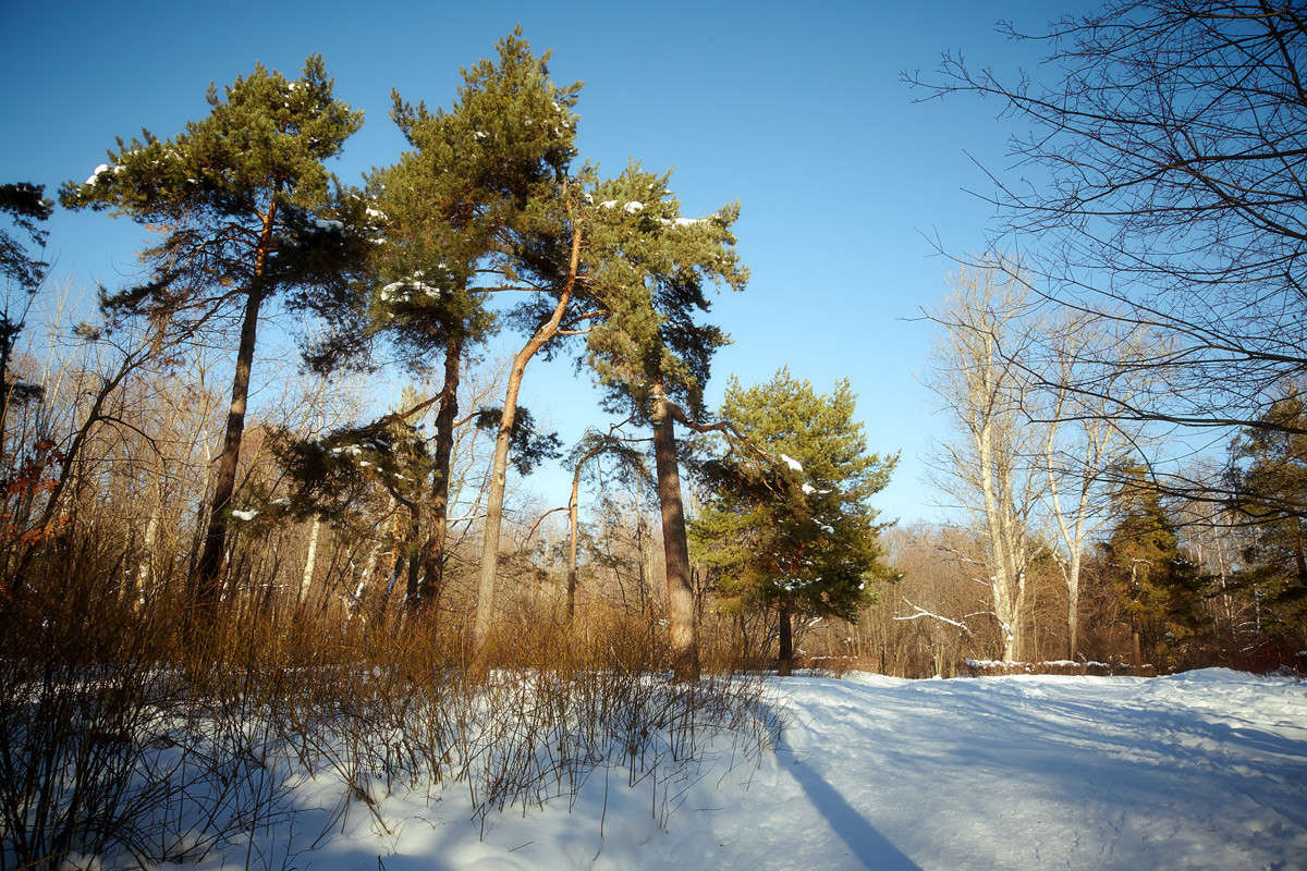 ... ����� Viktor Nogovitsin �� PhotoGeek.ru #������ ��� �������