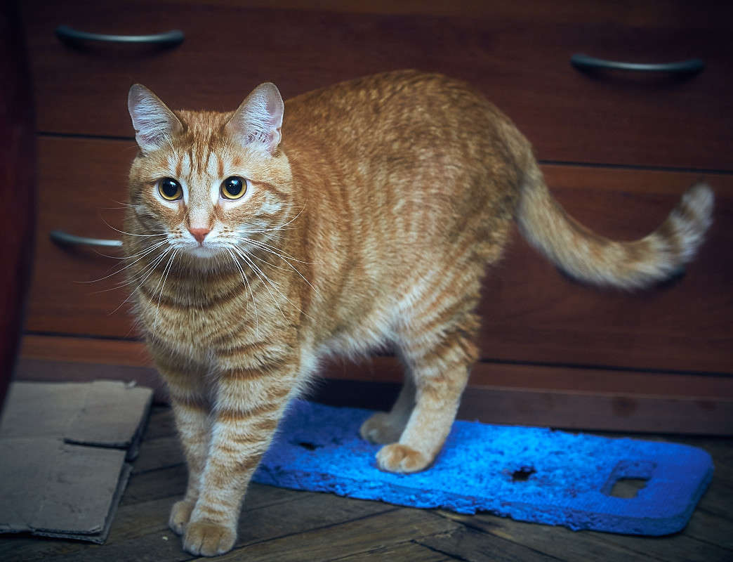 ... ����� Viktor Nogovitsin �� PhotoGeek.ru #�������� ���