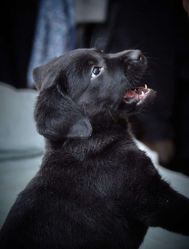 ... ����� Viktor Nogovitsin �� PhotoGeek.ru #�������� ���