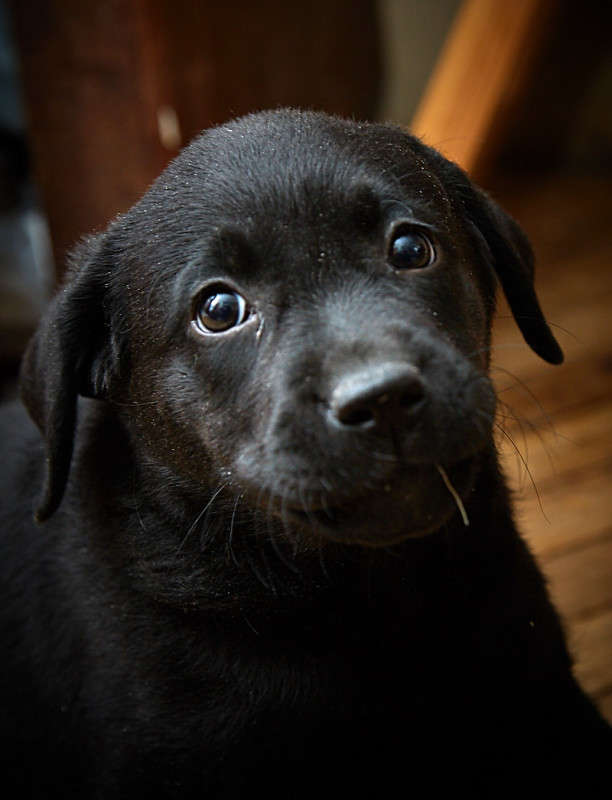 ... ����� Viktor Nogovitsin �� PhotoGeek.ru #�������� ���