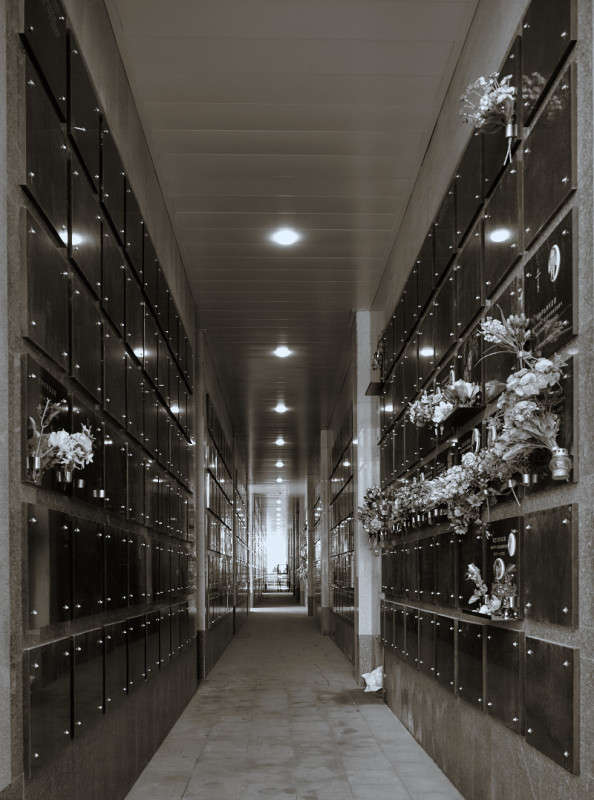 ... ����� Viktor Nogovitsin �� PhotoGeek.ru #�����������