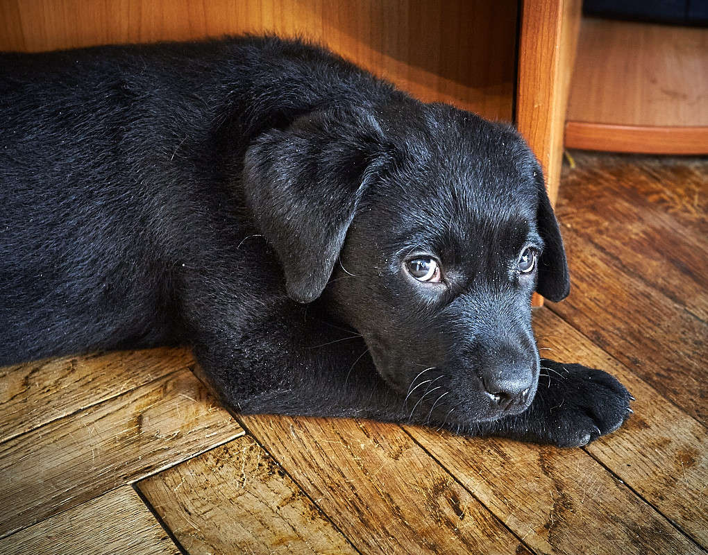 ... ����� Viktor Nogovitsin �� PhotoGeek.ru #�������� ���