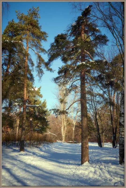 ... ����� Viktor Nogovitsin �� PhotoGeek.ru #������ ��� �������