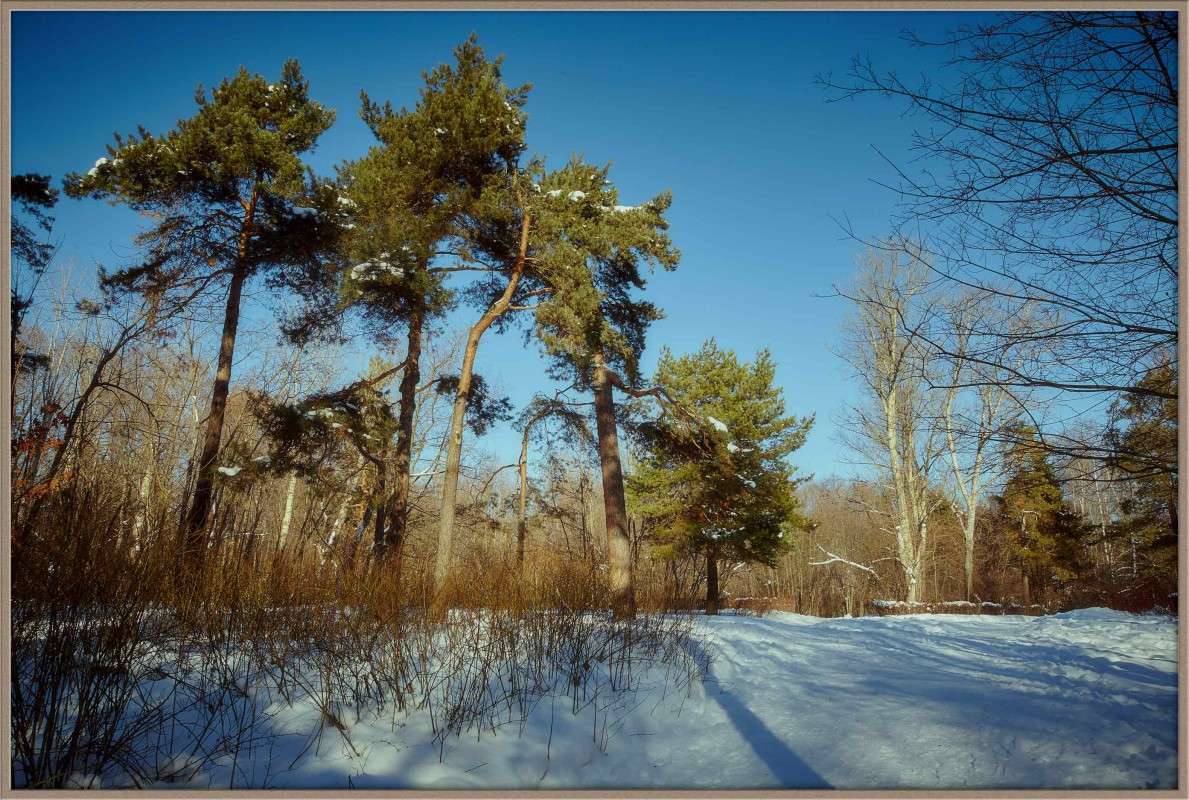 ... ����� Viktor Nogovitsin �� PhotoGeek.ru #������ ��� �������