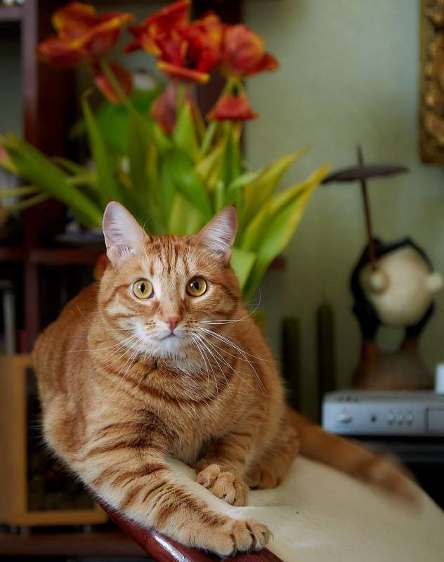 ... ����� Viktor Nogovitsin �� PhotoGeek.ru #�������� ���