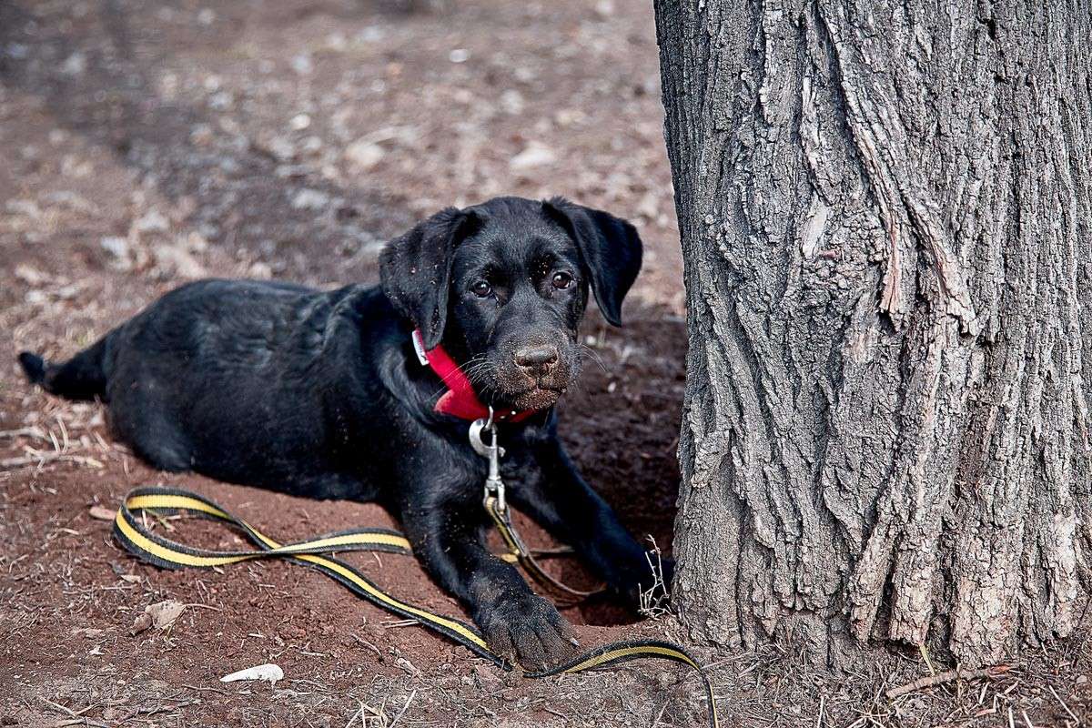 ... ����� Viktor Nogovitsin �� PhotoGeek.ru #�������� ���