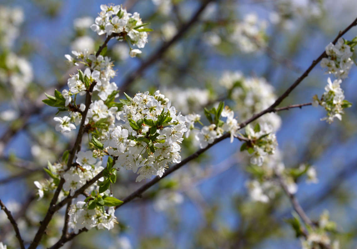 ... ����� Viktor Nogovitsin �� PhotoGeek.ru #�����