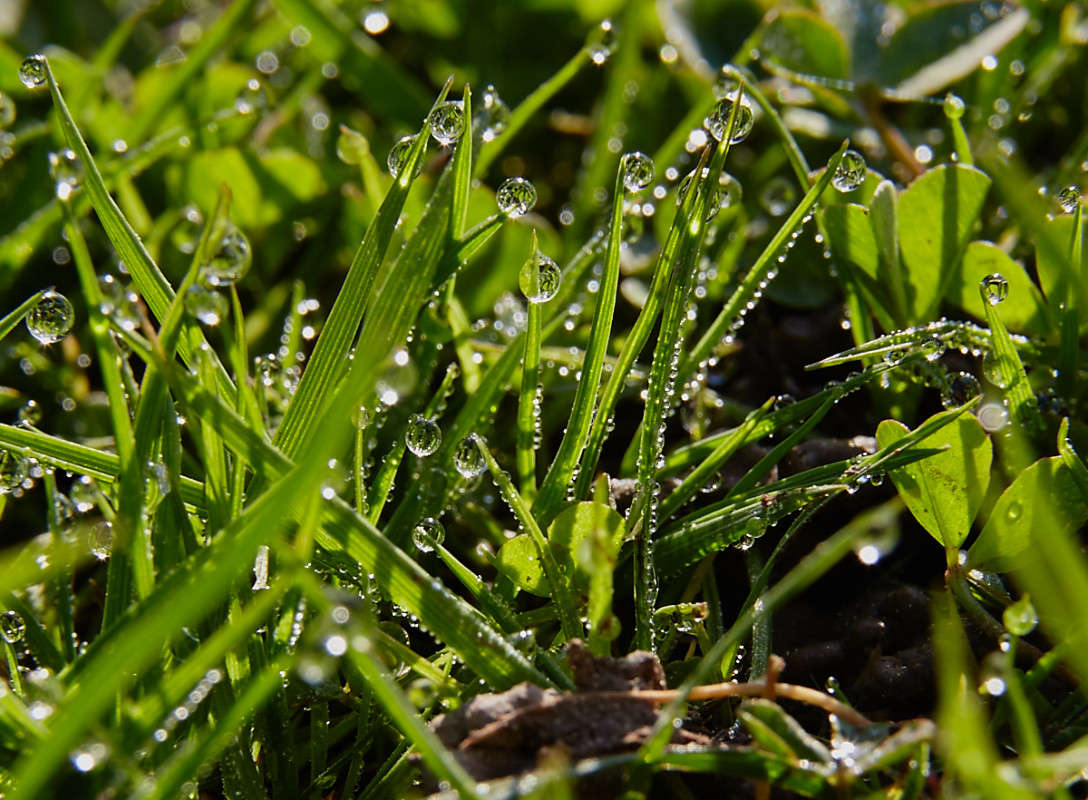 ... ����� Viktor Nogovitsin �� PhotoGeek.ru #�����